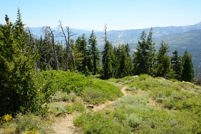 DSC_0264 (Large).JPG